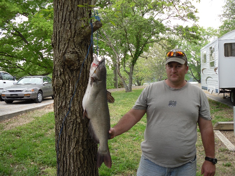 15 Lb Catfish