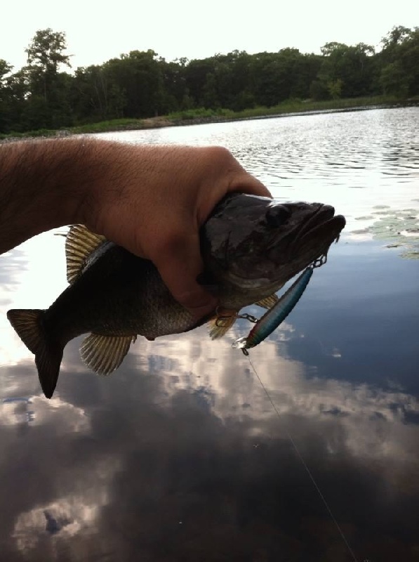  	 Wrights Pond 08/22/2013