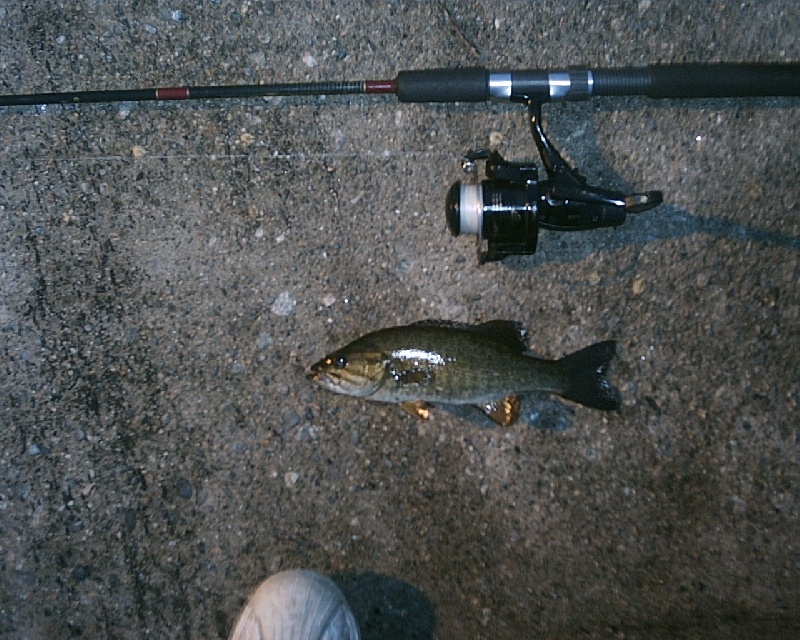 5/20/08 - Charles River - Watertown Boat Ramp