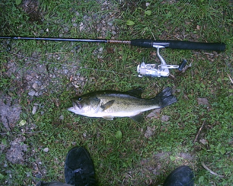 6/18/08 - Dudley Pond - Wayland, MA